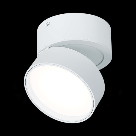 Потолочный светодиодный светильник с регулировкой направления света ST Luce ST651.542.14, LED 14W 4000K 1100lm - миниатюра 4