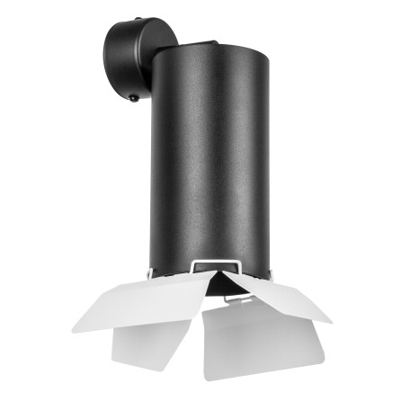 Настенно-потолочный светильник-спот с регулировкой направления света Lightstar Rullo RB6487486, 1xGU10x50W