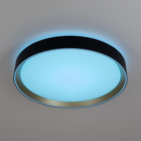 Потолочный светодиодный светильник Citilux BOSS CL751351G, LED 48W 3000-5500K 4100lm - миниатюра 8