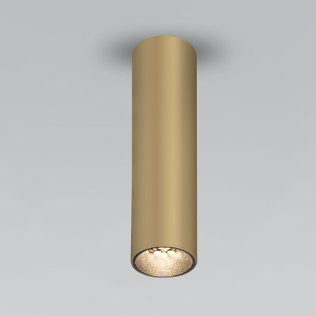 Потолочный светильник Elektrostandard Pika a061536 - миниатюра 1