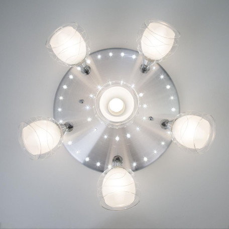 Потолочная люстра с регулировкой направления света Citilux Самба CL158162, 6xE27x75W + LED - миниатюра 11
