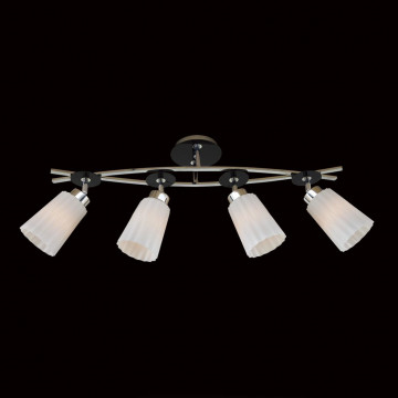 Потолочный светильник с регулировкой направления света Citilux Димона CL148141, 4xE27x75W, черный, белый, металл, стекло - миниатюра 2