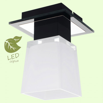 Потолочный светильник Lussole Loft Lente GRLSC-2507-01, IP21, 1xE14x6W, черный, белый, металл, стекло