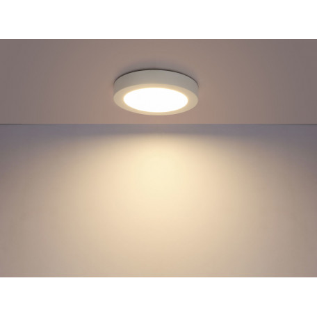Потолочный светодиодный светильник Globo Paula 41605-12, LED 12W 3000K 900lm - миниатюра 3