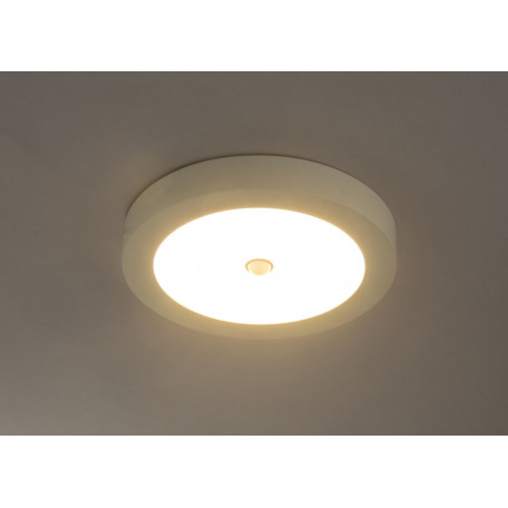 Потолочный светодиодный светильник Globo Paula 41605-18S, LED 18W 3000K 1600lm - миниатюра 3