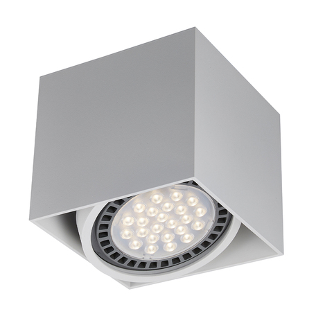 Потолочный светильник Zumaline Box ACGU10-114, 1xGU10x15W