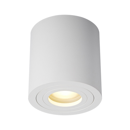 Потолочный светильник Zumaline Rondip ACGU10-158, IP54, 1xGU10x50W, белый, металл - миниатюра 1