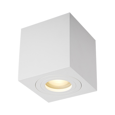 Потолочный светильник Zumaline Quardip ACGU10-160, IP54, 1xGU10x50W, белый, металл - миниатюра 1