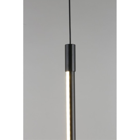 Подвесной светодиодный светильник Aployt Gabi APL.0124.06.15, LED 15W 4000K 825lm - миниатюра 8