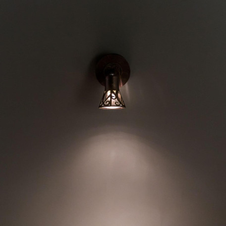 Настенный светильник с регулировкой направления света Citilux Винон CL519514, 1xGU10x50W - миниатюра 6