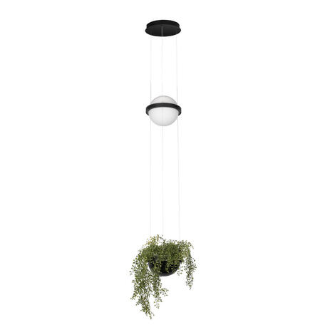 Подвесной светодиодный светильник Loft It Jardin 10121/B, LED 24W 3000K 1700lm - миниатюра 1