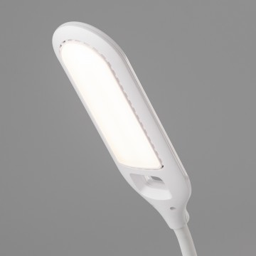 Настольная светодиодная лампа Eurosvet Soft 80503/1 белый (a042783), LED 8W 450lm CRI>80 - миниатюра 3