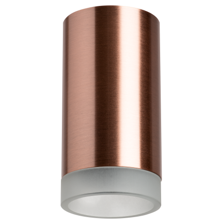 Потолочный светильник Lightstar Rullo R430430, 1xGU10x50W - миниатюра 2