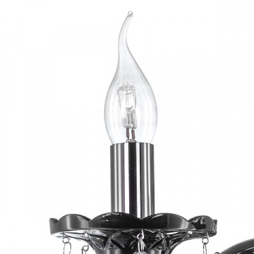 Бра Lightstar Osgona Champa Nero 879627, 2xE14x60W, черный, прозрачный, стекло, хрусталь - миниатюра 2