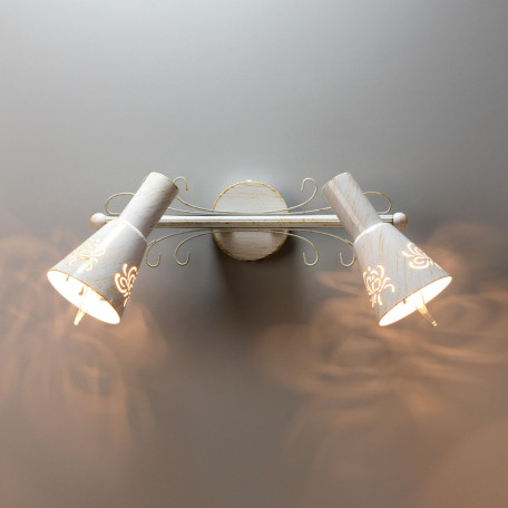 Настенный светильник с регулировкой направления света Citilux Дункан CL529522, 2xE14x60W - фото 2