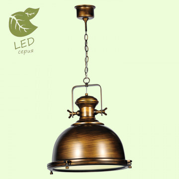 Подвесной светильник Lussole Loft Monsey GRLSP-9612, IP21, 1xE27x10W