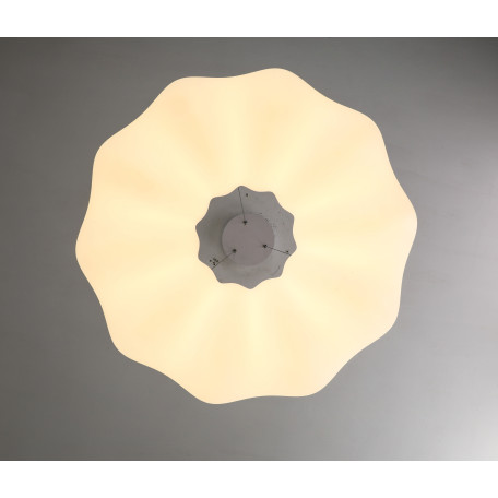 Подвесной светодиодный светильник Zortes Soft ZRS.1119.02, LED 34W 3000-6000K 2600lm - миниатюра 3