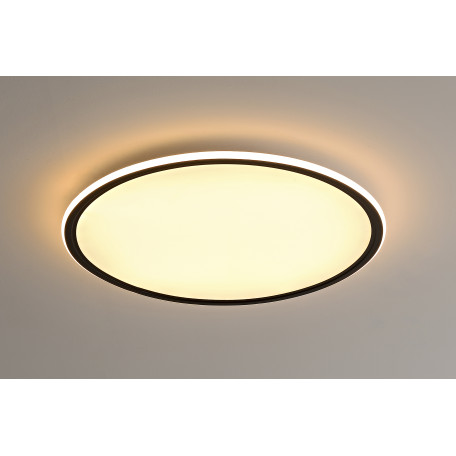 Потолочный светодиодный светильник Zortes Galo ZRS.10112.07, LED 45W 3000-4000K 3400lm - миниатюра 4