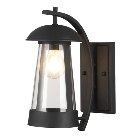 Настенный светильник Odeon Light Nature Kalpi 4837/1W, IP44, 1xE27x60W, черный, прозрачный, металл, стекло