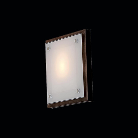 Настенно-потолочный светильник Citilux CL938311, 1xE27x60W - миниатюра 2