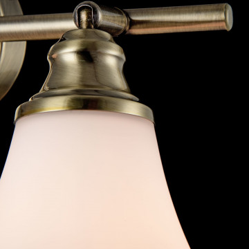 Потолочный светильник с регулировкой направления света Freya Jasinta FR2272-CW-02-BS, 2xE14x40W - миниатюра 6