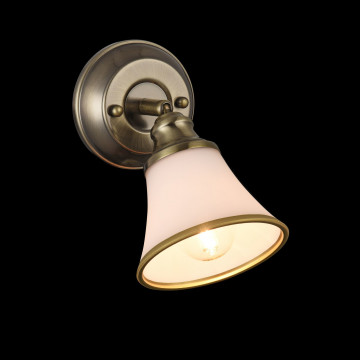 Потолочный светильник с регулировкой направления света Freya Jasinta FR2272-WL-01-BS, 1xE14x40W - миниатюра 4