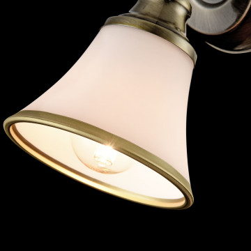 Потолочный светильник с регулировкой направления света Freya Jasinta FR2272-WL-01-BS, 1xE14x40W - миниатюра 6