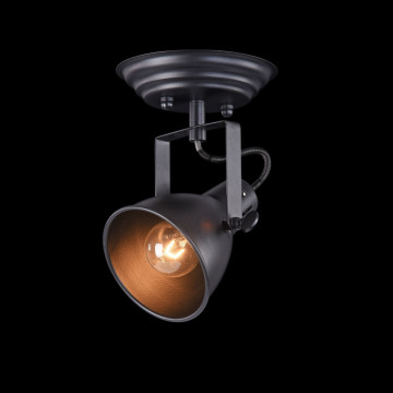Потолочный светильник с регулировкой направления света Freya Ibbi FR4276-CW-01-B, 1xE14x40W - миниатюра 4