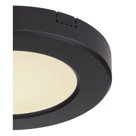 Потолочный светодиодный светильник Globo Lasse 12379-6B, LED 6W 420lm - миниатюра 5