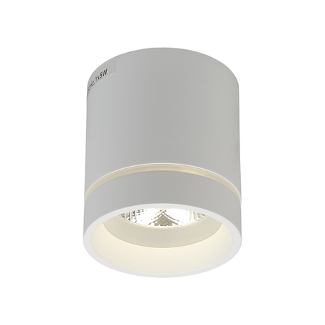Потолочный светодиодный светильник Aployt Gita APL.0044.09.05, LED