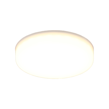 Потолочный светодиодный светильник Aployt Deni APL.0073.09.10, LED