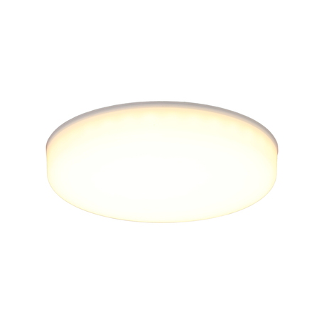 Потолочный светодиодный светильник Aployt Deni APL.0073.09.18, LED