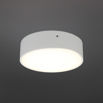 Потолочный светодиодный светильник Aployt Evon APL.0113.09.12, LED 12W 3000K 1000lm - миниатюра 2