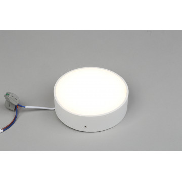 Потолочный светодиодный светильник Aployt Evon APL.0113.09.12, LED 12W 3000K 1000lm - миниатюра 4