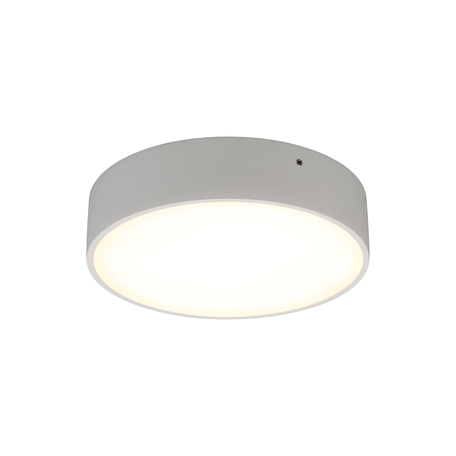 Потолочный светодиодный светильник Aployt Evon APL.0113.09.18, LED