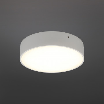 Потолочный светодиодный светильник Aployt Evon APL.0113.09.18, LED 18W 3000K 1550lm - миниатюра 2