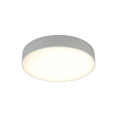 Потолочный светодиодный светильник Aployt Evon APL.0113.09.24, LED