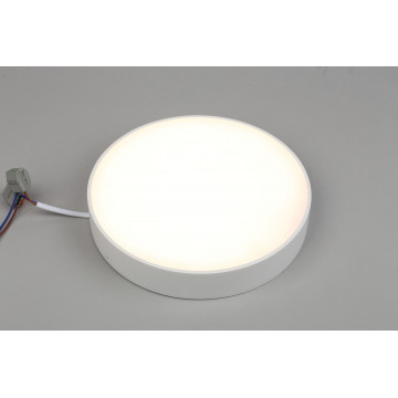 Потолочный светодиодный светильник Aployt Evon APL.0113.09.24, LED 24W 3000K 2160lm - миниатюра 4