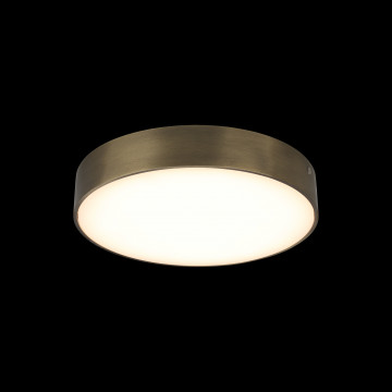 Потолочный светодиодный светильник Aployt Evon APL.0113.29.24, LED 24W 3000K 2160lm - миниатюра 3