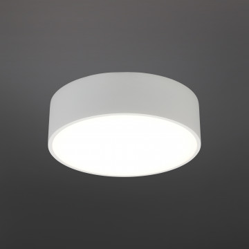 Потолочный светодиодный светильник Aployt Evon APL.0114.09.12, LED 12W 4000K 1000lm - миниатюра 2