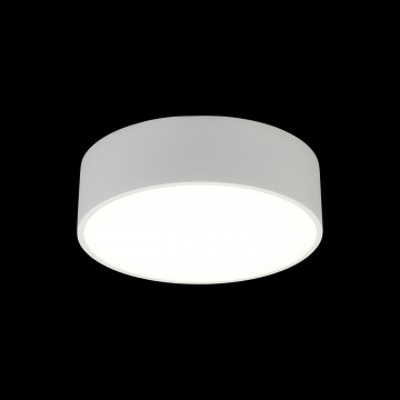 Потолочный светодиодный светильник Aployt Evon APL.0114.09.12, LED 12W 4000K 1000lm - миниатюра 3