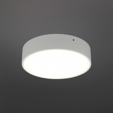 Потолочный светодиодный светильник Aployt Evon APL.0114.09.18, LED 18W 4000K 1550lm - миниатюра 2