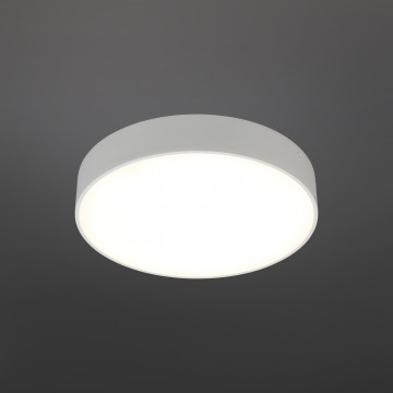 Потолочный светодиодный светильник Aployt Evon APL.0114.09.24, LED 24W 4000K 2160lm - миниатюра 2