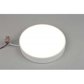 Потолочный светодиодный светильник Aployt Evon APL.0114.09.24, LED 24W 4000K 2160lm - миниатюра 3