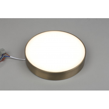 Потолочный светодиодный светильник Aployt Evon APL.0114.29.24, LED 24W 4000K 2160lm - миниатюра 4