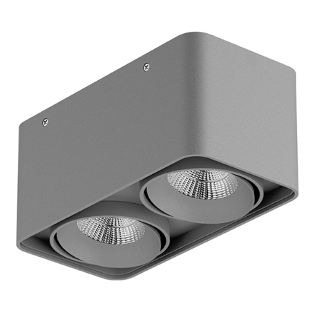Потолочный светодиодный светильник Lightstar Monocco 052129, IP65, LED 20W 4000K 1200lm, серый, металл