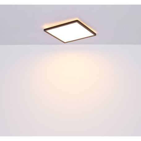 Потолочный светодиодный светильник Globo Sapana 41563-18B, IP44, LED 18W 3000K 1500lm - миниатюра 9
