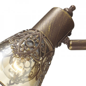 Потолочный светильник с регулировкой направления света Favourite Gumbata 1795-4U, 4xE14x40W, коричневый с золотой патиной, коньячный, металл, стекло - миниатюра 2