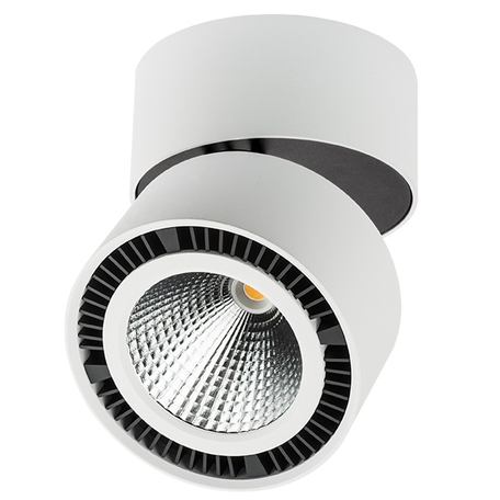 Светодиодный светильник с регулировкой направления света Lightstar Forte Muro 213830, LED 26W 3000K 1950lm, белый, черно-белый, металл