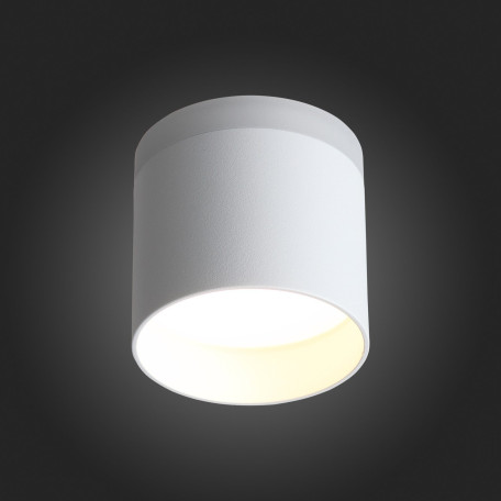 Потолочный светодиодный светильник ST Luce Panaggio ST102.502.12, LED 12W 3000K 936lm - миниатюра 7